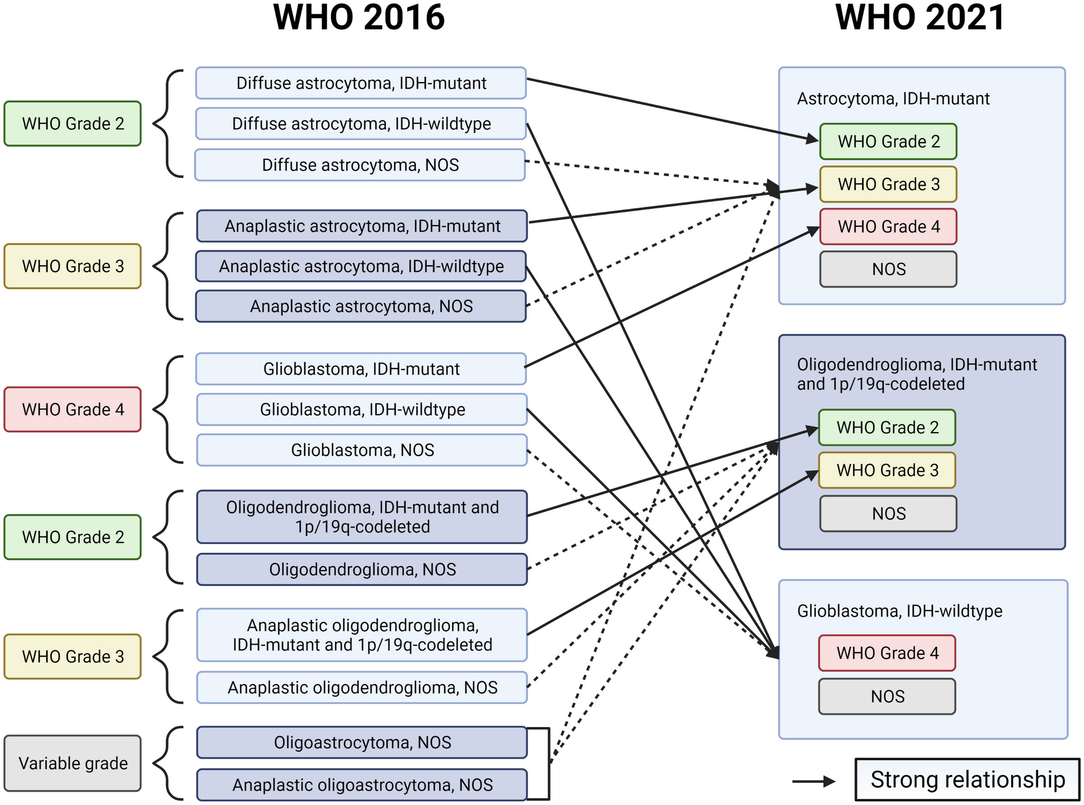 Figure 1 Schematic showing how the disease entities from WHO 2016 is now defined in WHO 2021. (Benjamin, 2022)