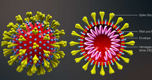 Detection Kits for Novel Coronavirus SARS-CoV-2