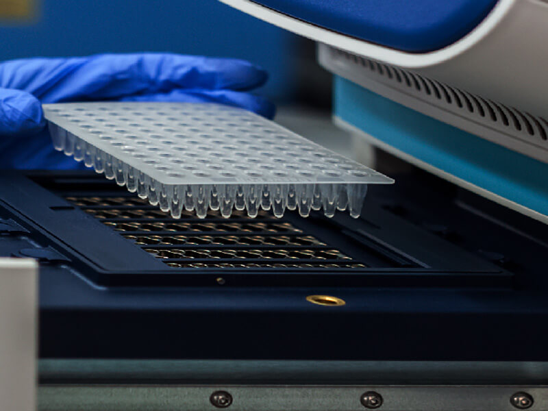 Antibody Biosimilar Development Service