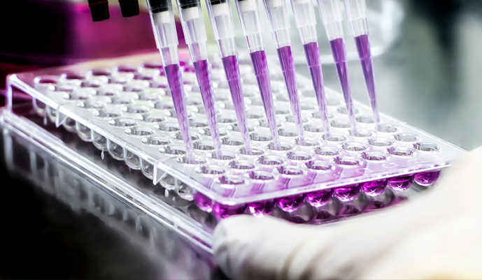 ntibody-Cytokine Fusion Production Services