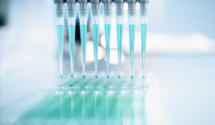 Antibody-Lipid Nanoparticle (LNP) Development Solutions