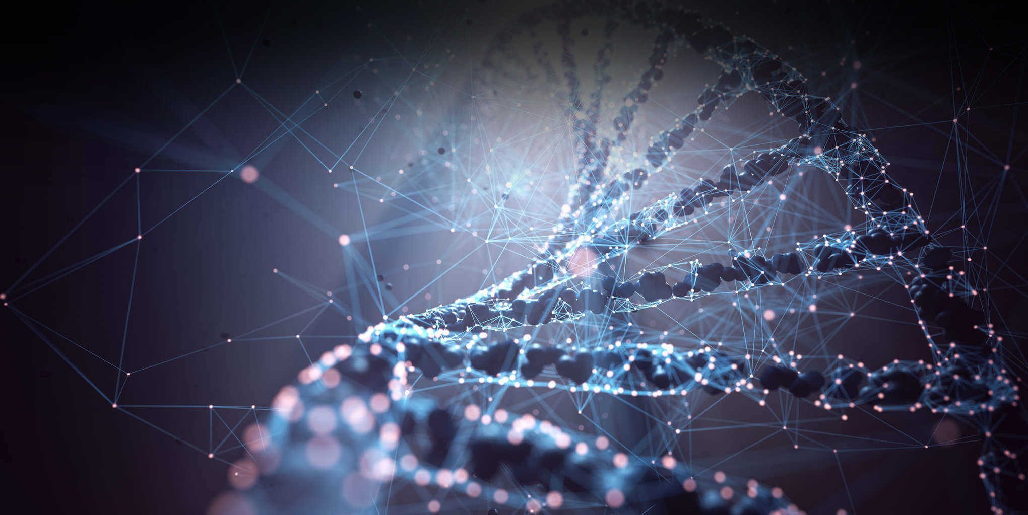 Plasmid CDMO Solutions