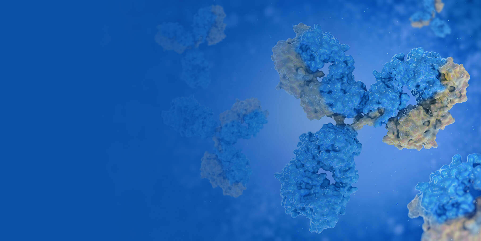 High Throughput Recombinant Antibody Production and Characterization