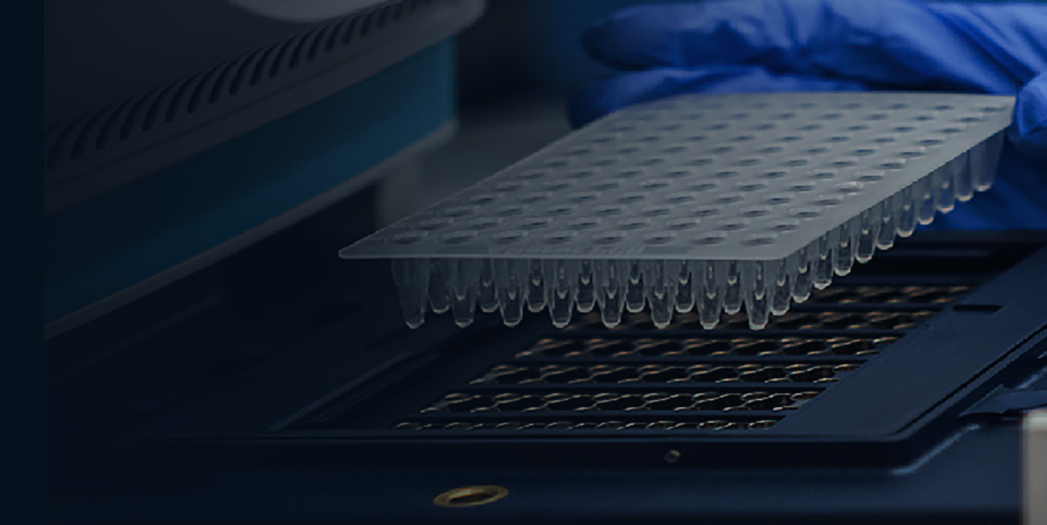 High Throughput Recombinant Antibody Production and Characterization