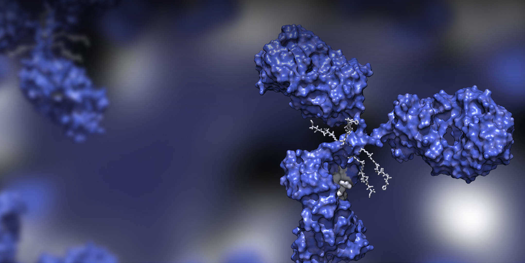 Antibody CDMO Solutions