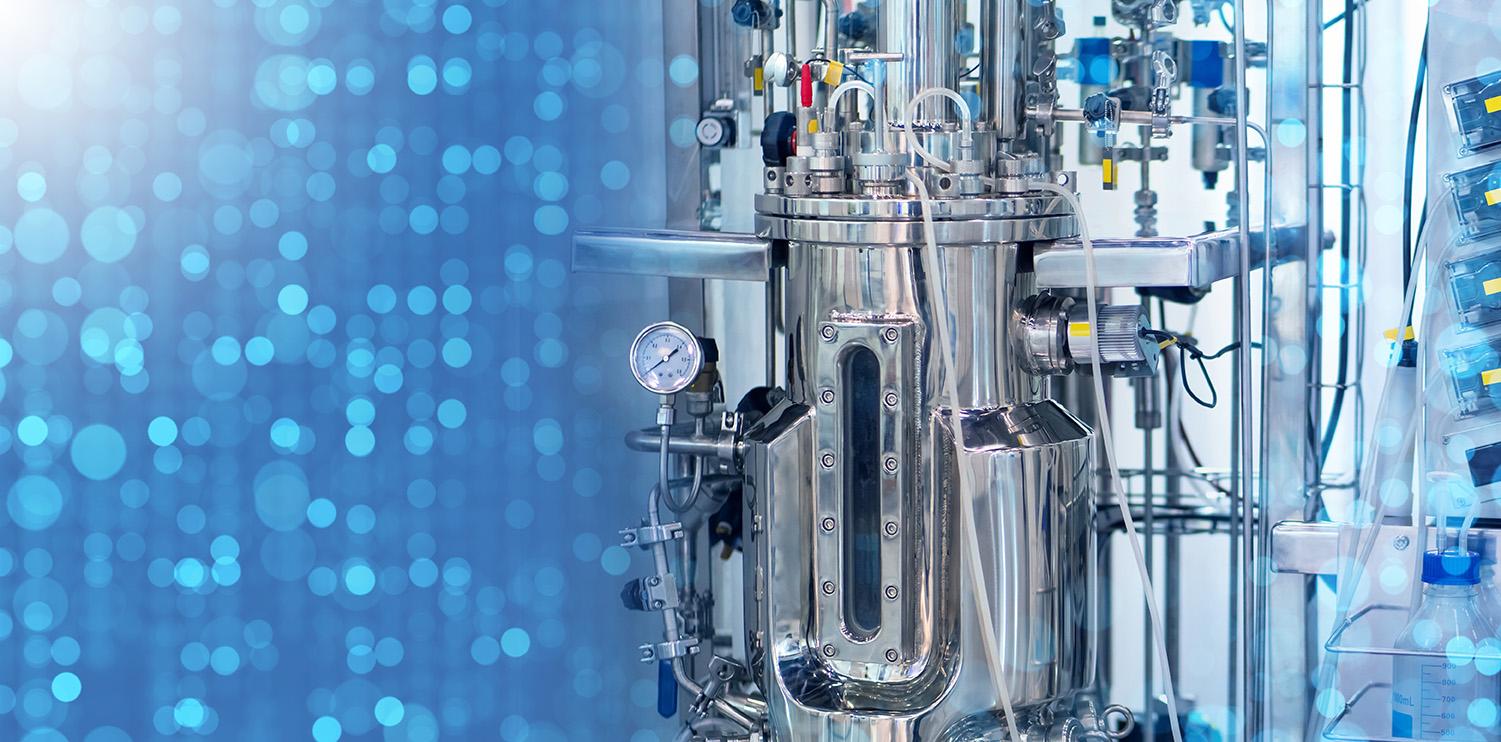 Antibody modalities and engineering