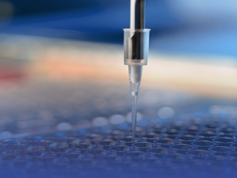 Custom Antibody Production Service