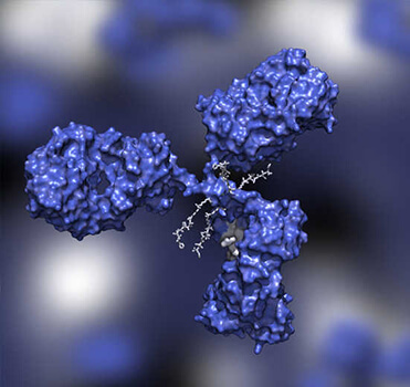 Research Grade Biosimilar Antibody