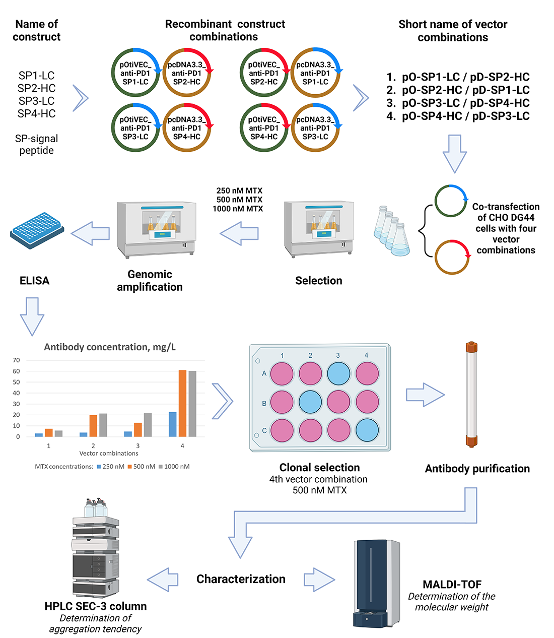 Fig.1 Schematic diagram of antibody-stable cell line construction. (OA Literature)