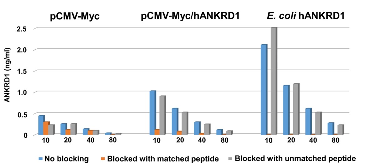 Fig.2 Effect of peptide competition in ELISA where the detection antibody is blocked by matched or unmatched peptides.