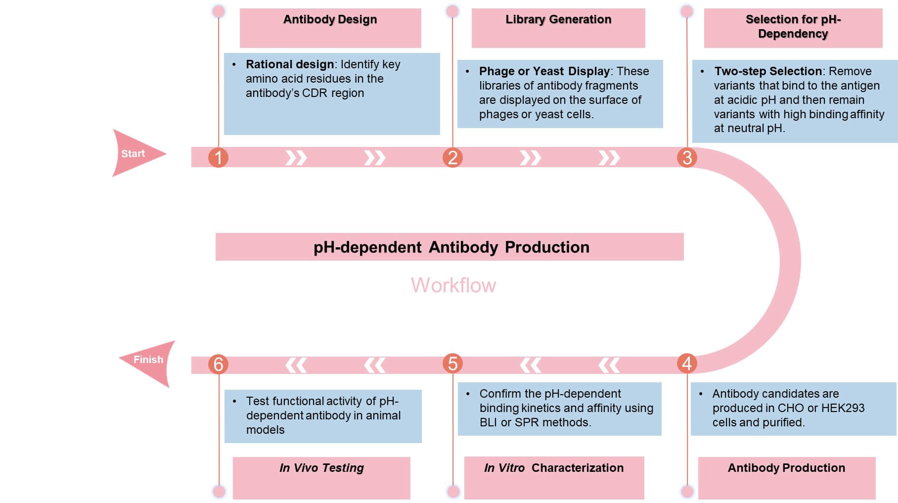 The workflow of pH-dependent antibody production. (Creative Biolabs)