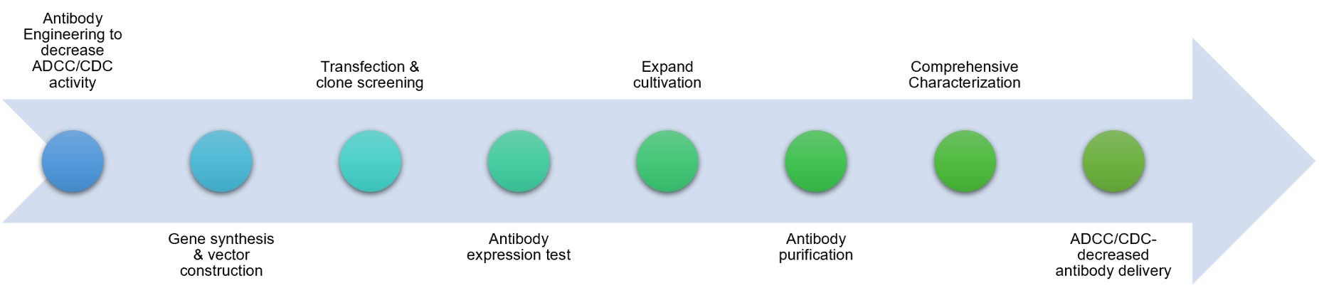 Fig.2 Process. (Creative Biolabs Original)
