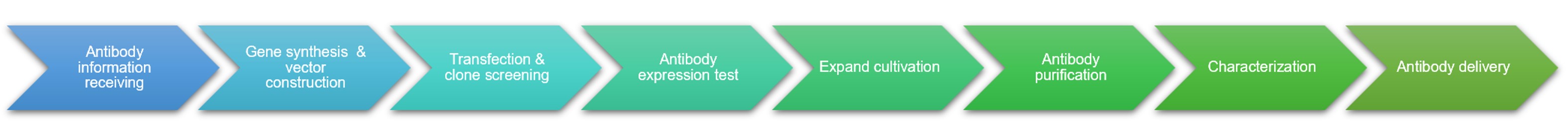 Fig.2 Process. (Creative Biolabs Original)