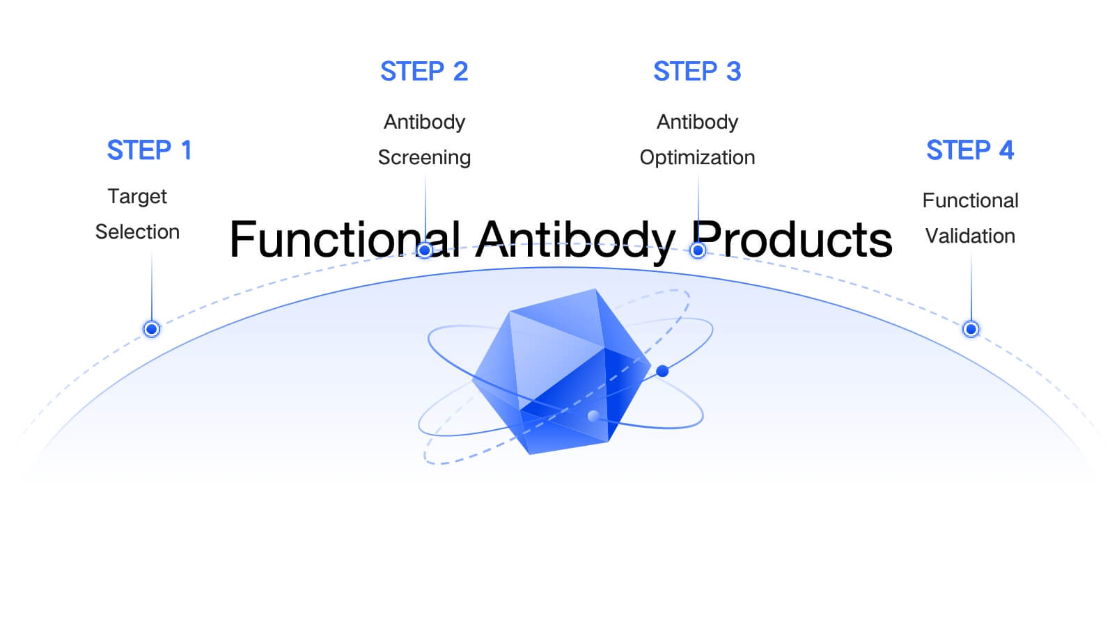 The Production Process of Functional Antibody Products. (Creative Biolabs Orignial)