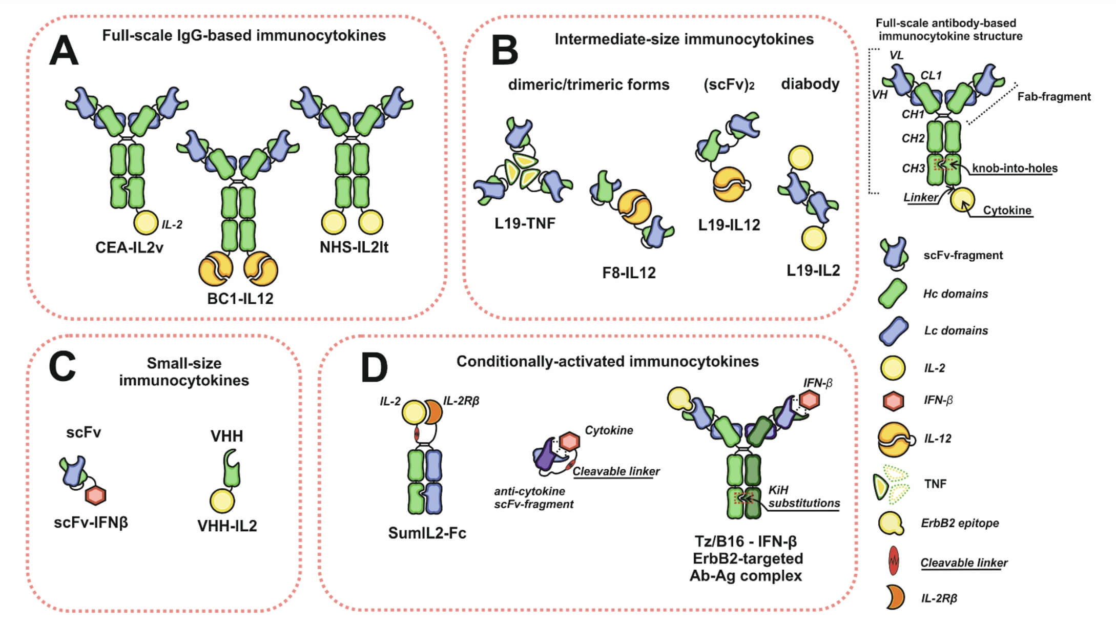 Schematic Representation of the Diversity of Immunocytokine Formats. 
