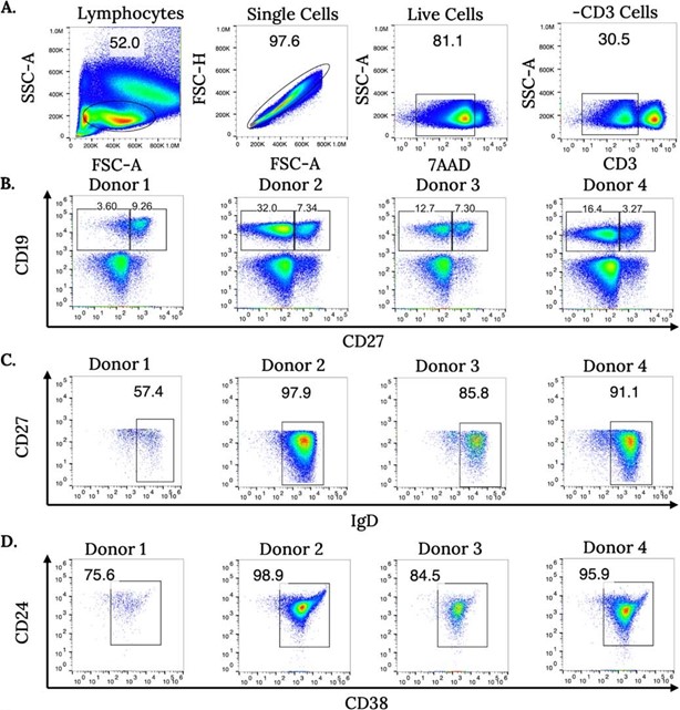 Flow cytometry with antibody panels. (OA Literature)