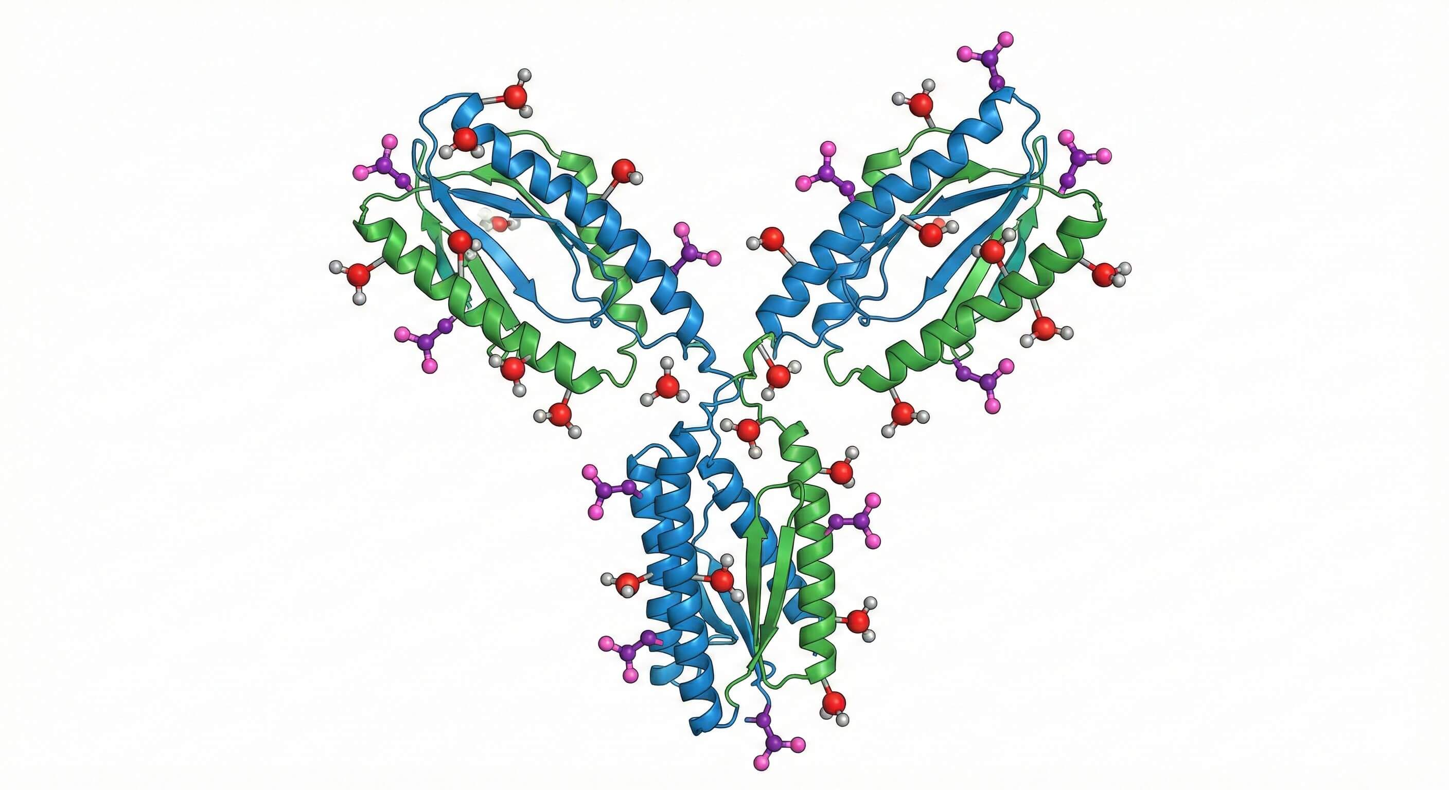 Methyl/Acetyl Antibody Structure. (OA Literature)