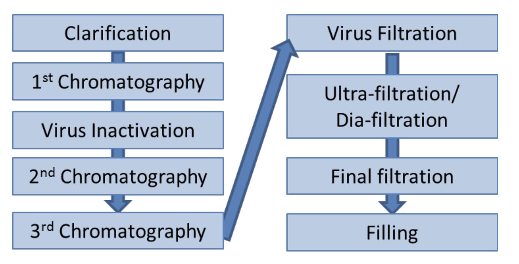 Typical Antibody Purification Process. 