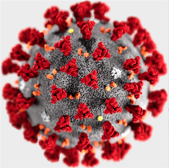 The novel coronavirus (SARS-CoV-2)