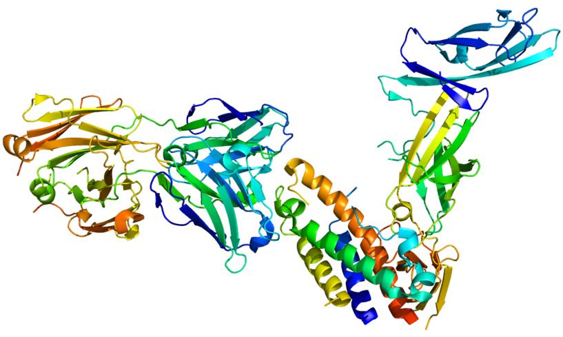 Figure 1. The Structural properties of Human IL23A (Wikipedia)