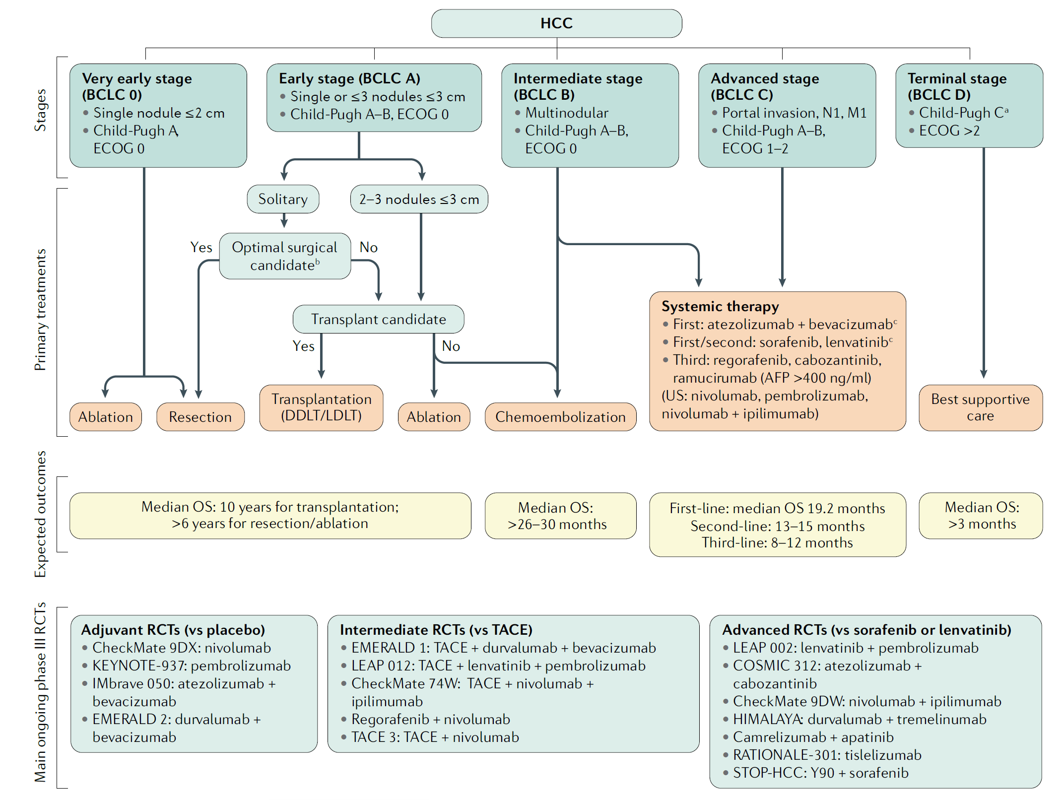 Figure 1 Treatment strategy in the management of hepatocellular carcinoma. (Llovet, 2021)