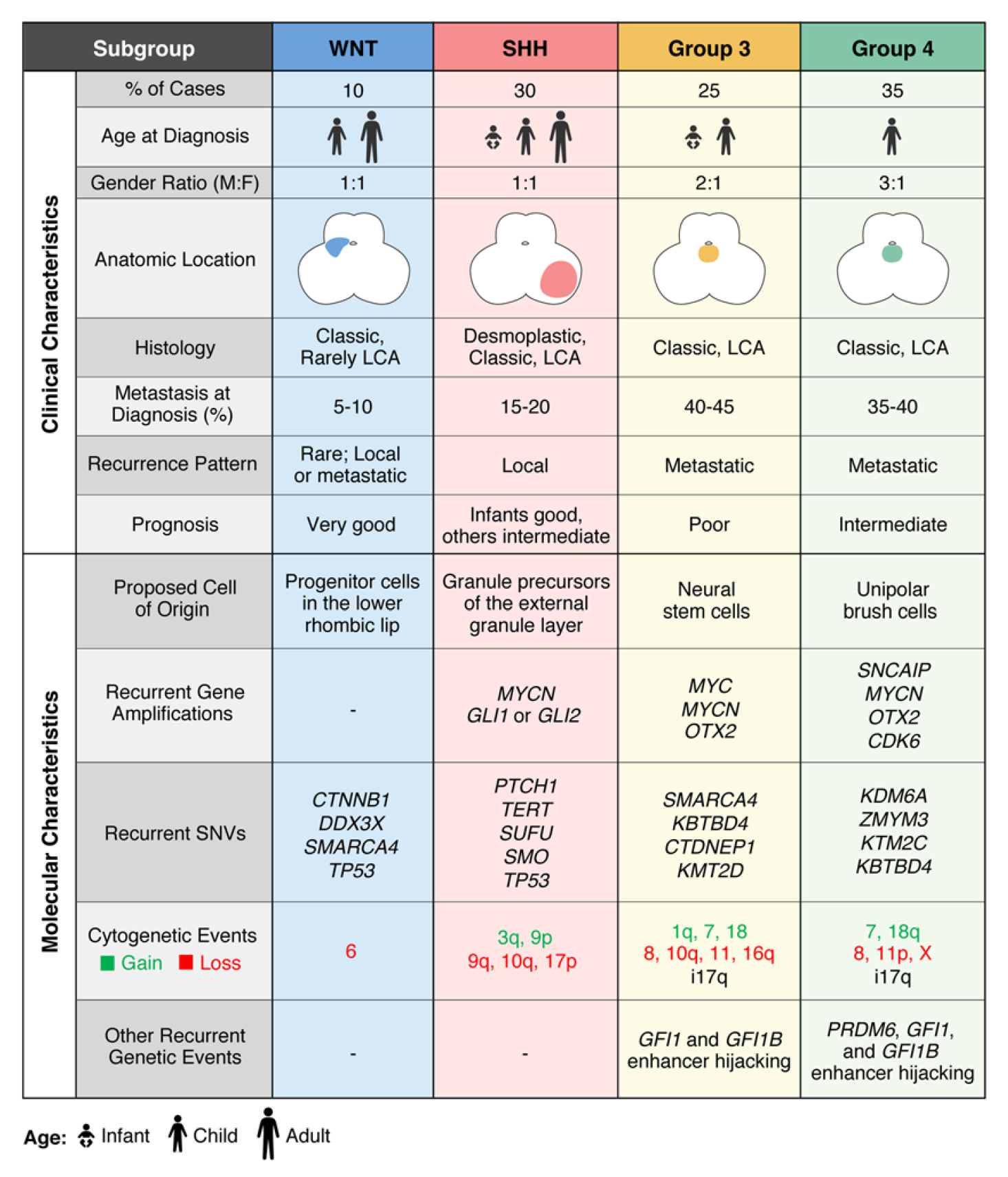 Figure 1 Currently explored biomarker candidates for Medulloblastoma screening. (Juraschka, 2019)