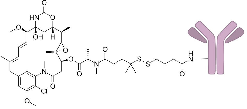 Figure 1. The Structural Properties of Cantuzumab Ravtansine (Wikipedia)