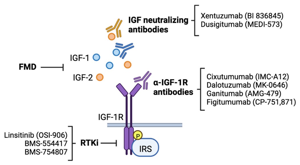 Figure 2. Dusigitumab Neutralizes IGF2 and Blocks the Interactions between It and Its Receptors like IGF-1R and IR-A