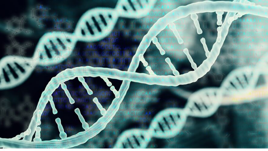 High-throughput production. (Creative Biolabs Original)