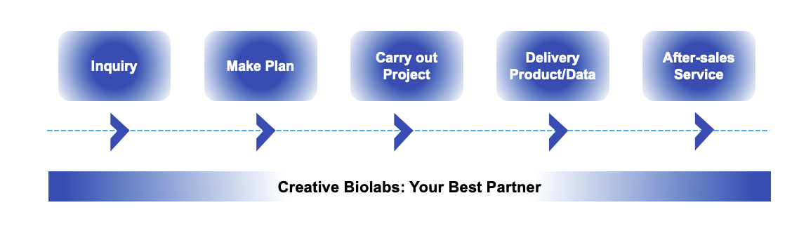 Fig.2 Cooperation. (Creative Biolabs Original)