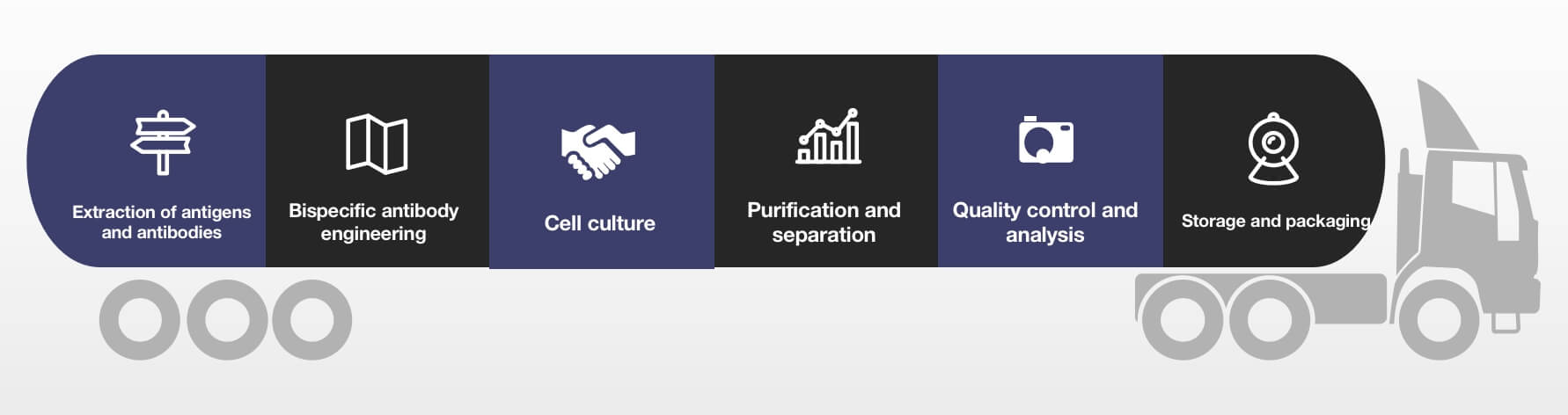 Overall solution for bispecific antibody production. (Creative Biolabs Original)