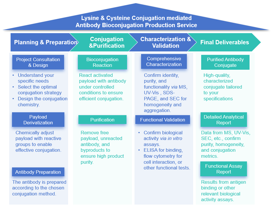 Lysine & cysteine conjugation mediated antibody bioconjugation production service flow chart. (Creative Biolabs Original)