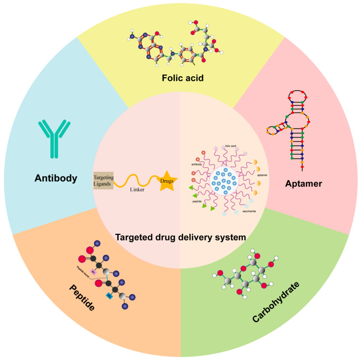 Ligand-targeted drug delivery systems. (OA Literature)