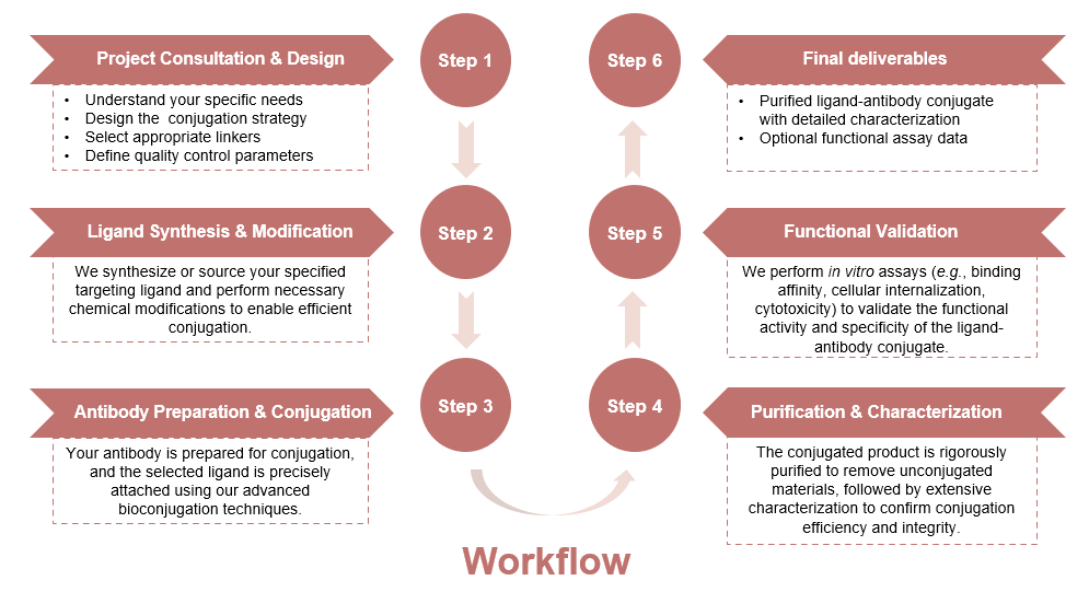 Flowchart of ligand-mediated targeting-based antibody production services. (Creative Biolabs Original)