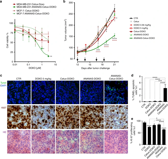 The biological activity of doxorubicin delivery systems. (OA Literature)