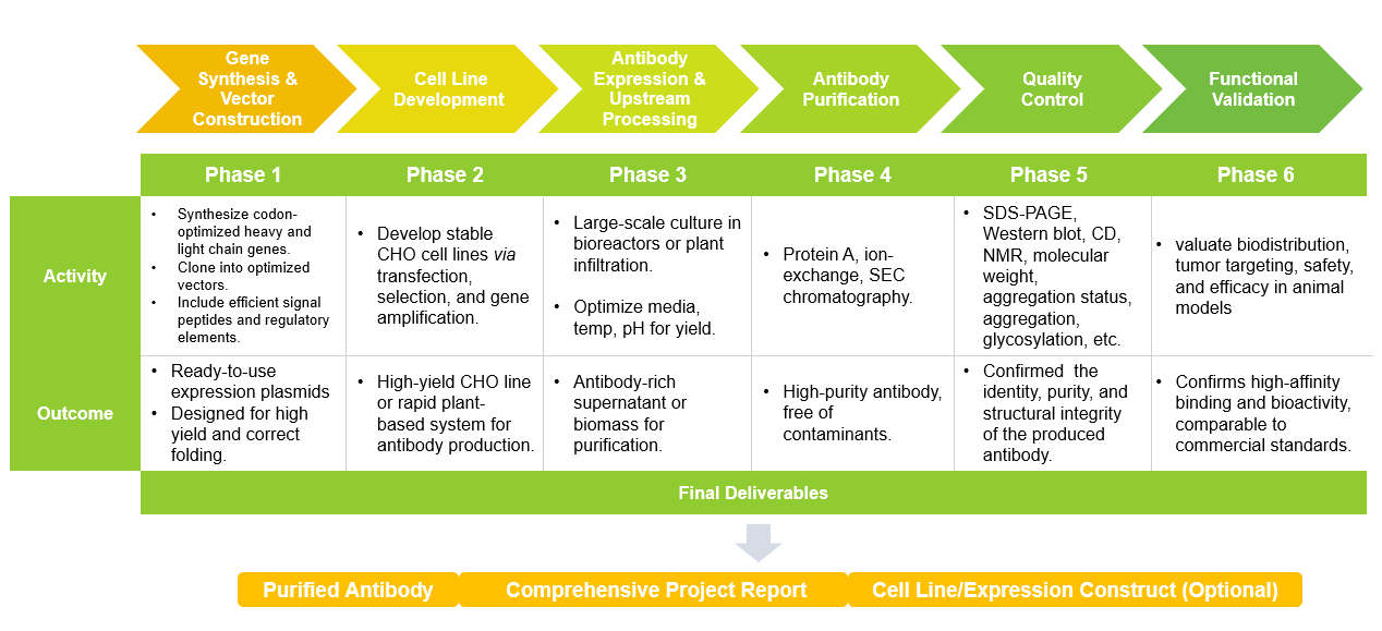 Immune checkpoint blocking antibody production service flow scheme. (Creative Biolabs Original)