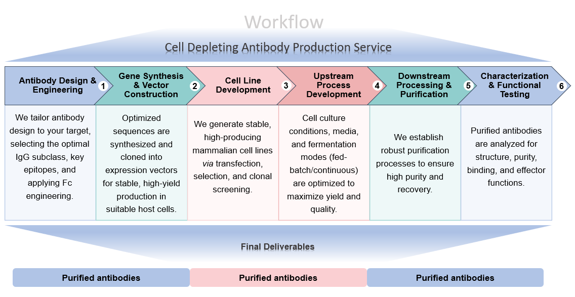 Tissue-specific targeting-based antibody production services at creative biolabs process flow diagram. (Creative Biolabs Original)