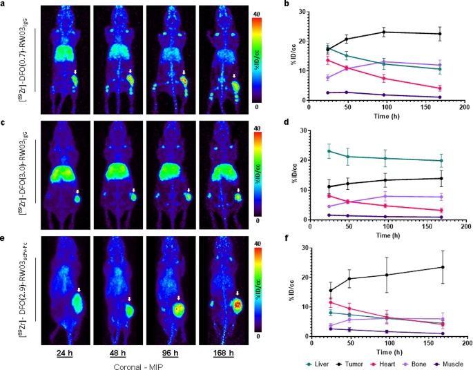 Synthesis of conjugates. (OA Literature)