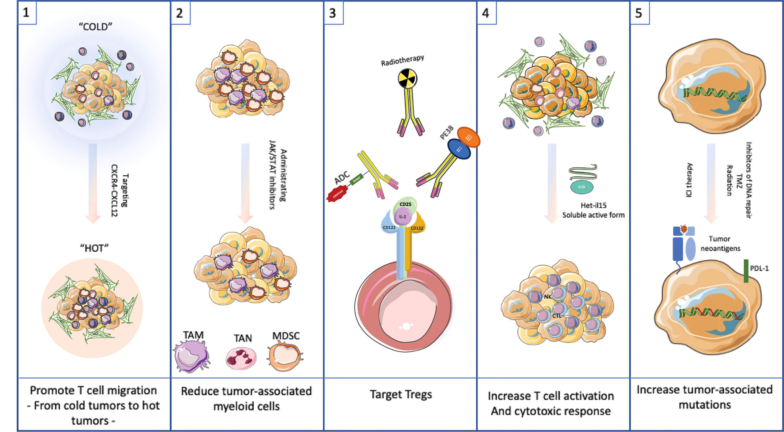 Targeting the TME as a potential therapeutic approach. (OA Literature)