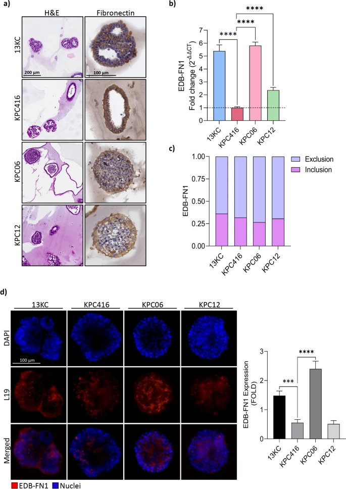 Real-time analysis technology was used to detect the expression dynamics of antibodies in tumor models. (OA Literature)