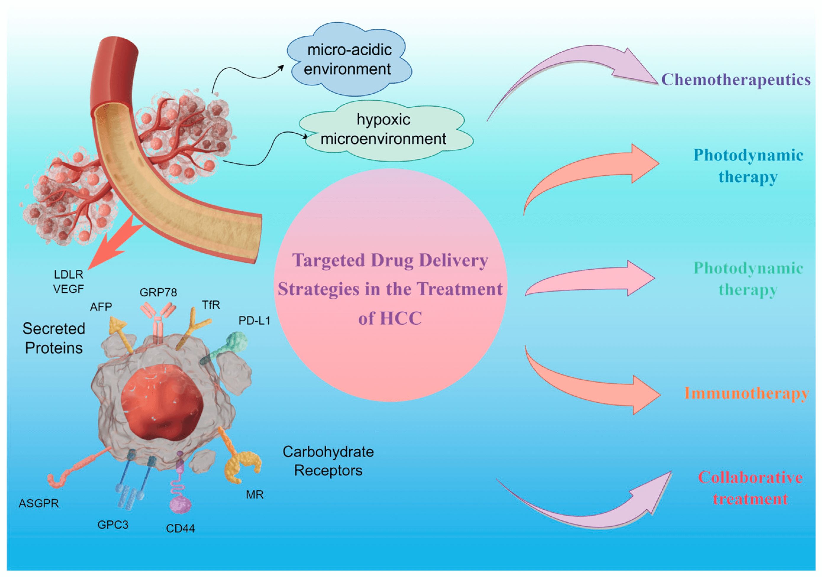 Strategies for hepatocellular carcinoma tissue-specific targeting. (OA Literature)