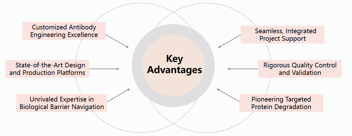 Key advantages illustration diagram. (Creative Biolabs Original)