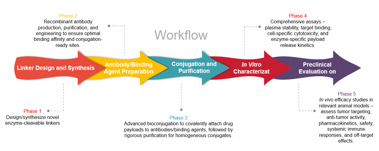 Enzyme cleavable linker integrated antibody production service workflow diagram. (Creative Biolabs Original)