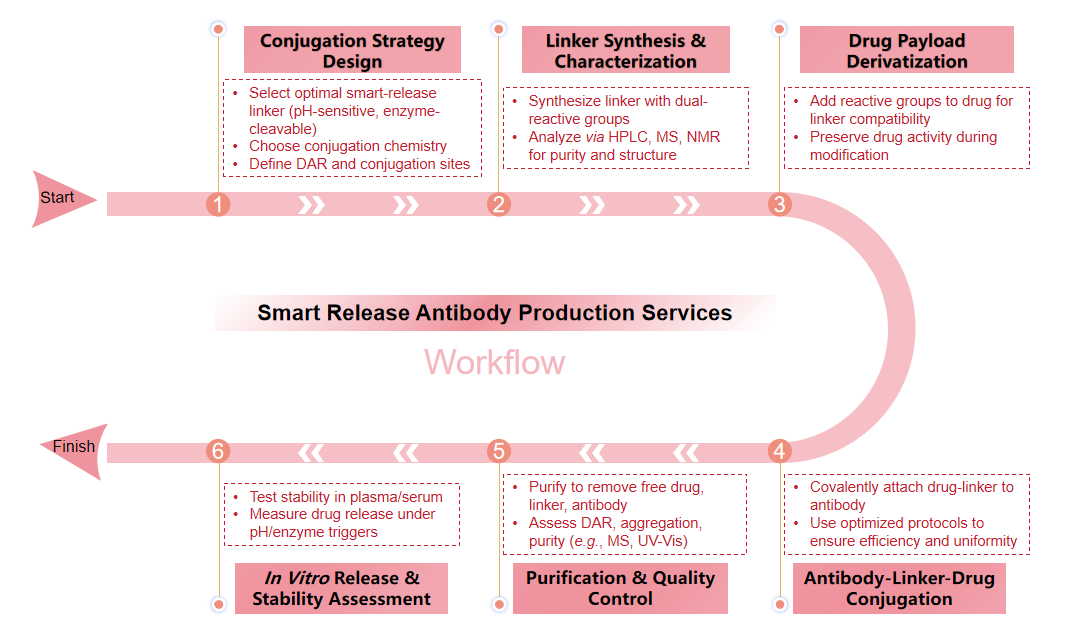 Smart release antibody production services workflow diagram. (Creative Biolabs Original)