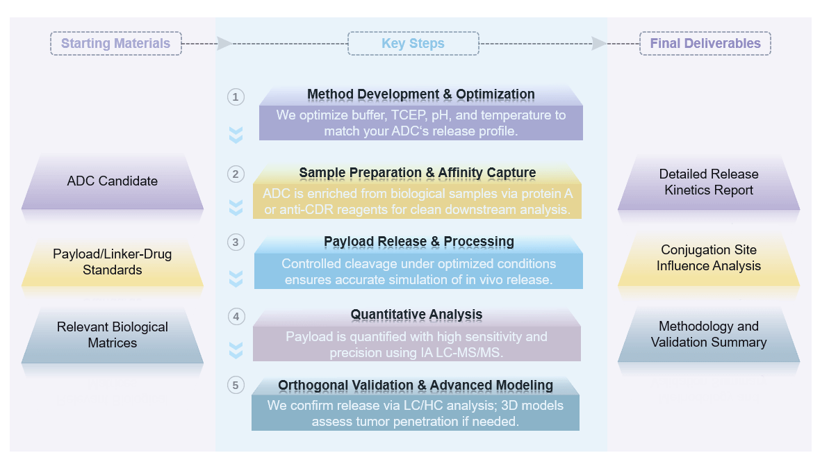 Flow diagram of in vitro release evaluation service. (Creative Biolabs Original)
