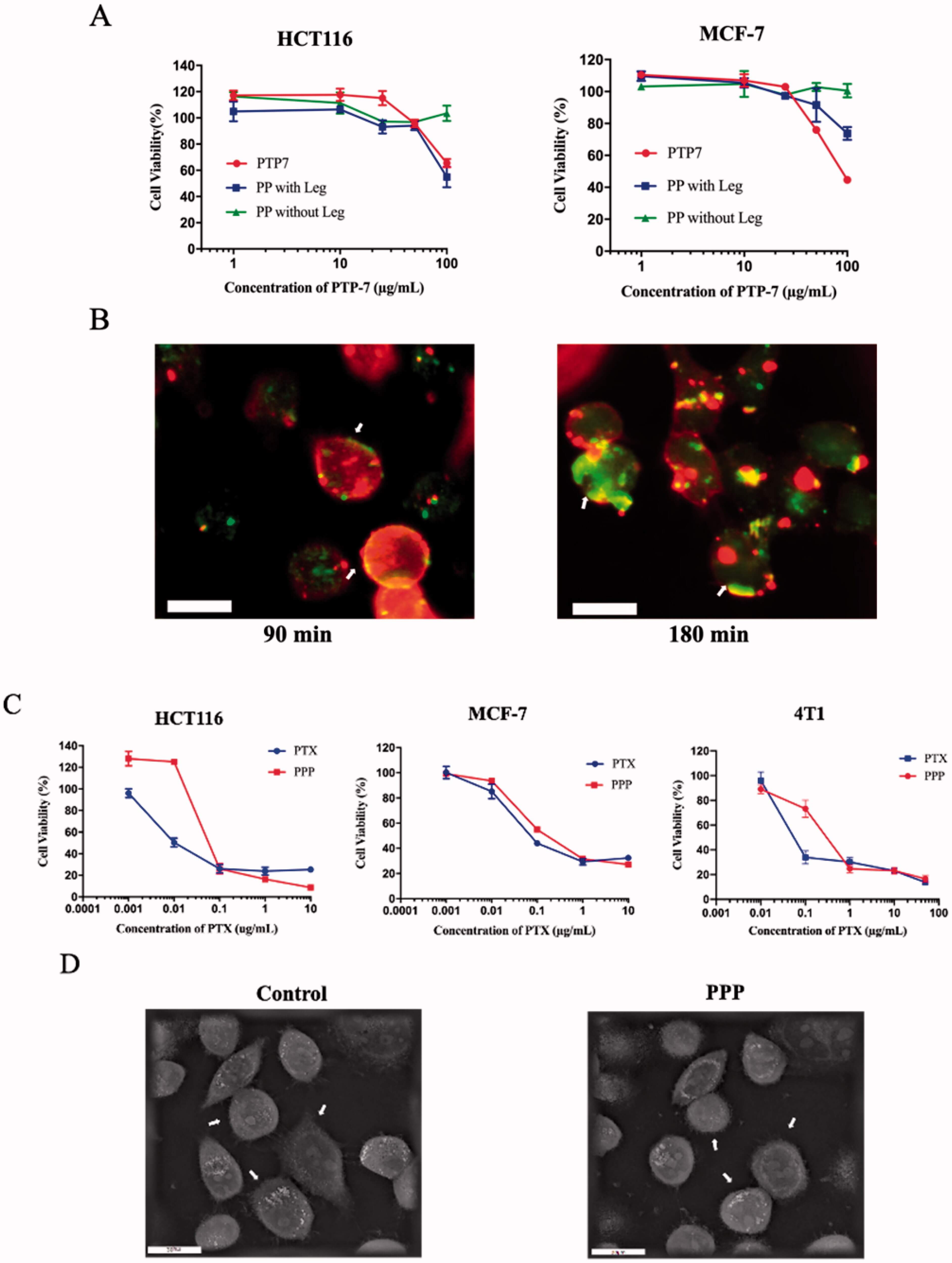 Drug internalization by cells. (OA Literature)
