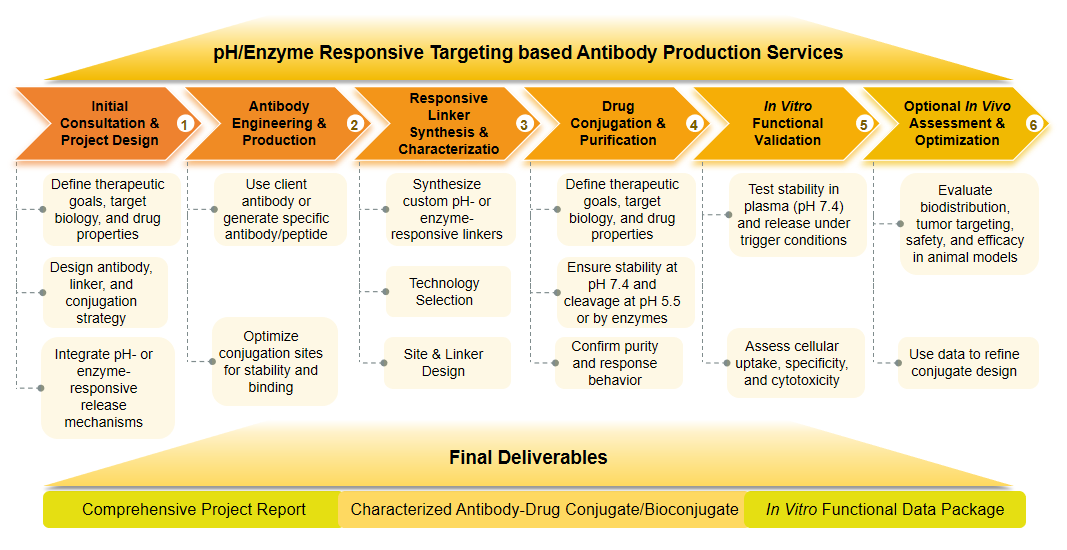 Flow diagram of pH/enzyme responsive targeting based antibody production services. (Creative Biolabs Original)