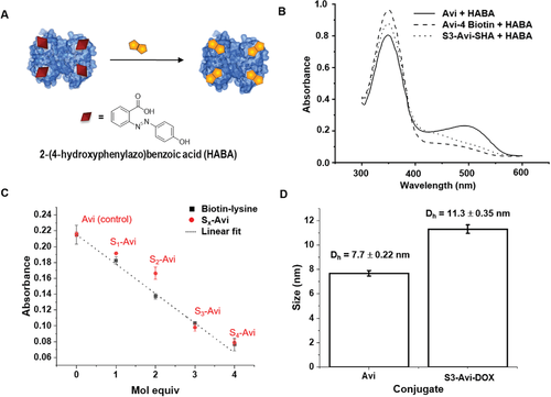 Analyzing biomolecular interactions via competitive binding assay technology. (OA Literature)