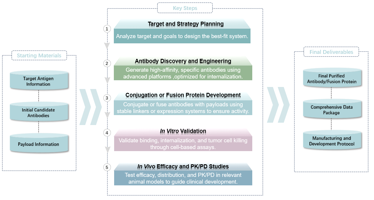 The workflow of antibody based active targeting system development services. (Creative Biolabs Original)