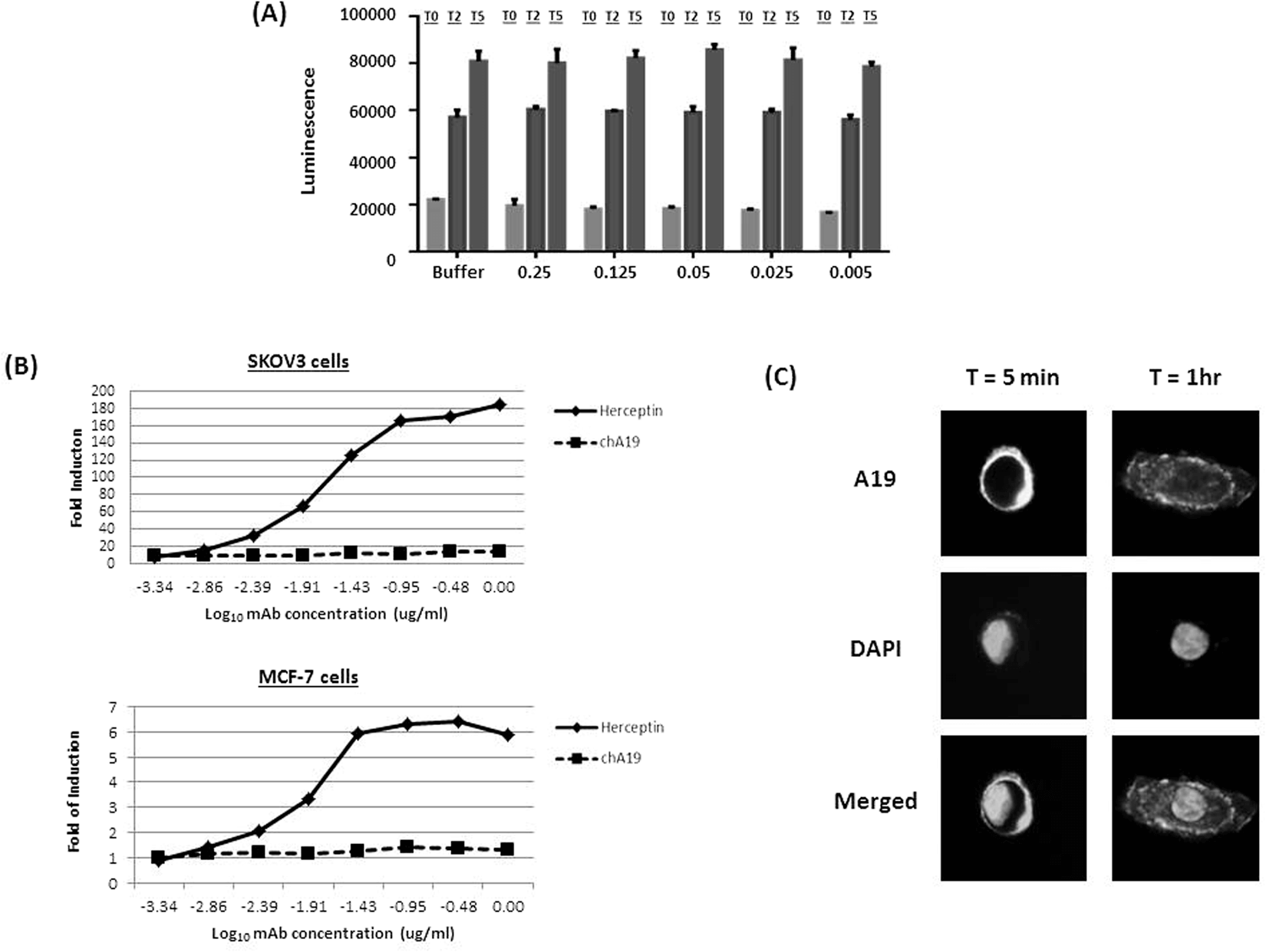 Evaluation of ADCC activity through reporter gene detection. (OA Literature)